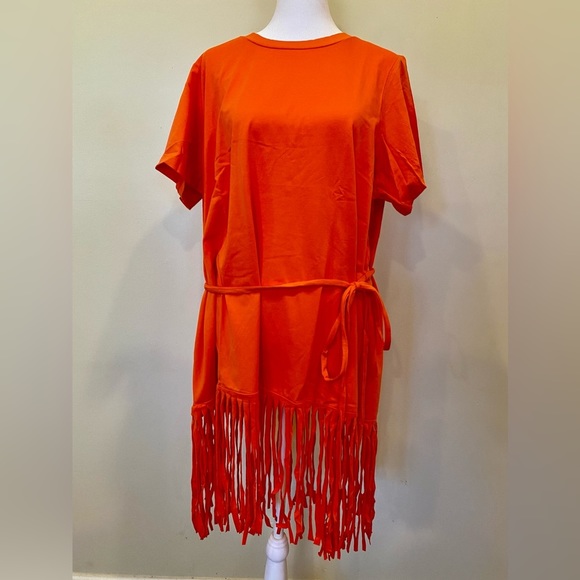 DG2 By Diane Gilman Fringed Tunic Size 1X NWT 1B2 - Picture 2 of 7